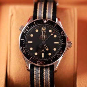 Omega Seamaster New Joint Model